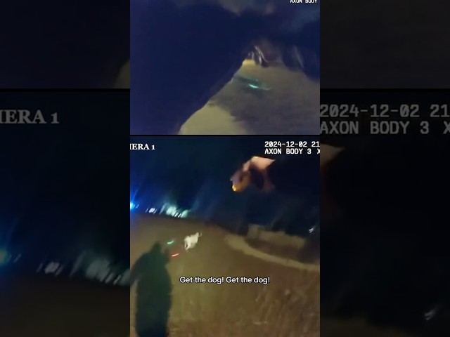 ⁣Bodycam footage shows officer fatally shooting family’s dog named Zeta #shorts