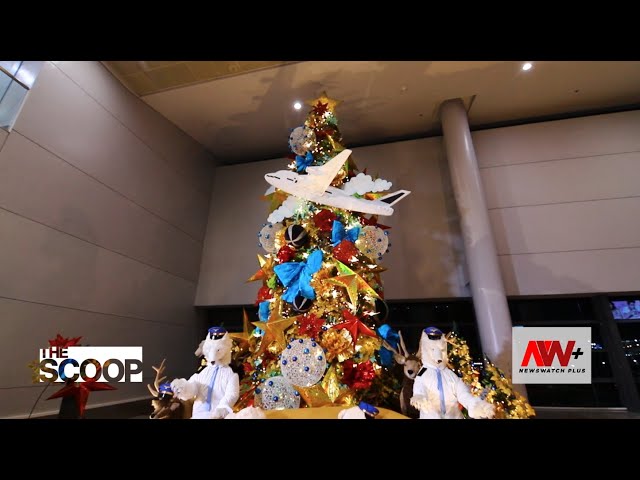 ⁣The Scoop: NAIA Christmas Tree Lighting