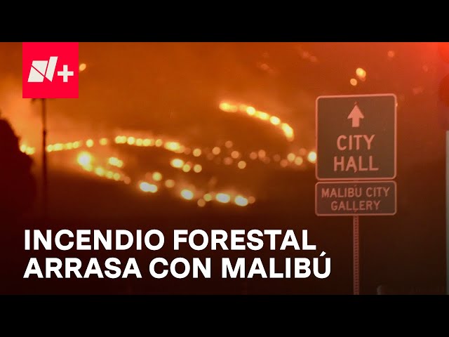 ⁣Incendio en Malibú: A Pesar de las Llamas, Habitantes se Niegan a Dejar sus Casas