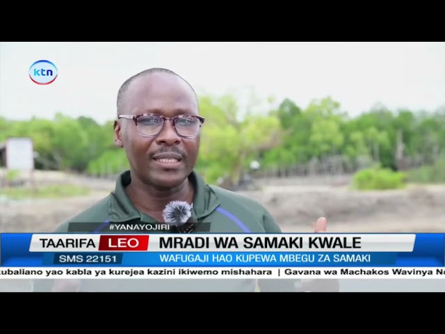 ⁣Mradi wa kuwapa wafugaji mbegu za samaki na mafunzo waanzishwa Kwale