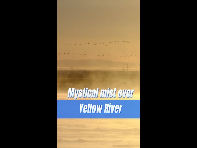 ⁣Mystical mist over China's Yellow River