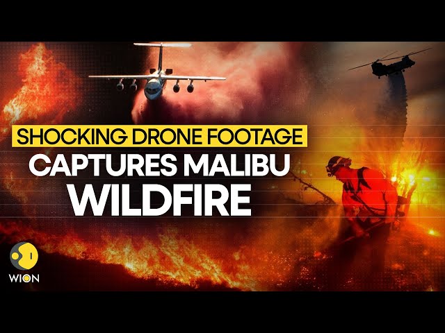 ⁣Malibu Wildfire LIVE | Fire Sweeps Through California: Homes Destroyed, Thousands Evacuated | WION