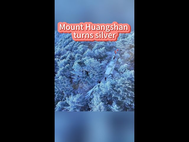 ⁣Rime ice decorates China's Mount Huangshan