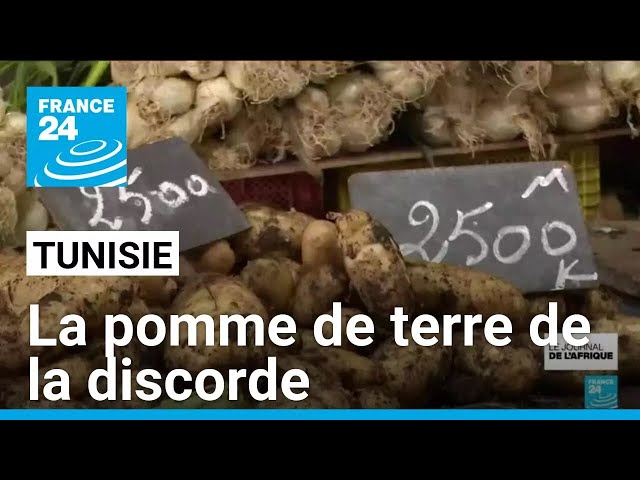 ⁣Tunisie : la pomme de terre de la discorde • FRANCE 24