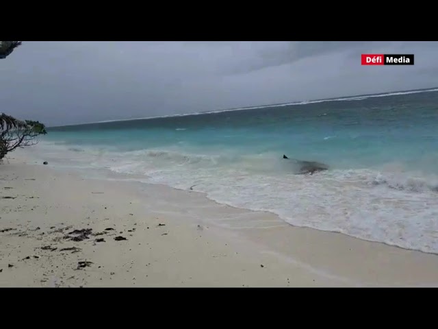 ⁣Cyclone Chido : des rafales de 120 km/h attendues ce soir à Agalega