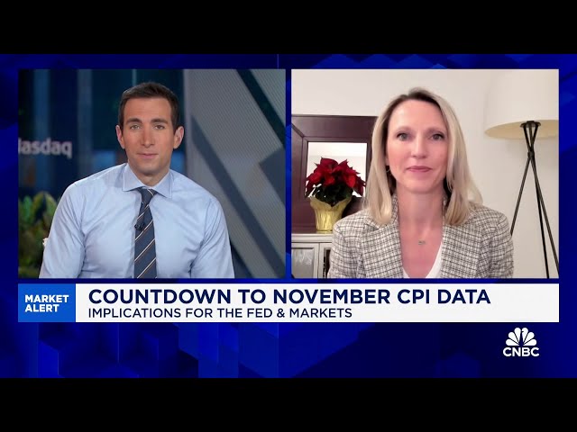 ⁣There will likely be more volatility in the markets next year, says Sand Hill's Brenda Vingiell