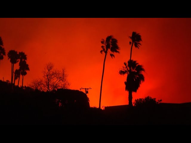 ⁣Wind-driven wildfire in Malibu, California forces residents to flee