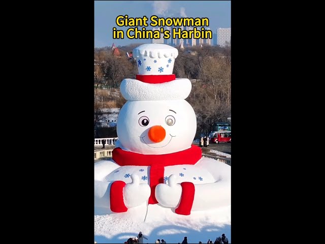 ⁣Giant snowman unveiled in China's Harbin