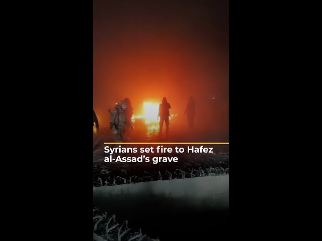 ⁣Syrians set fire to Hafez al-Assad's grave | AJ#shorts