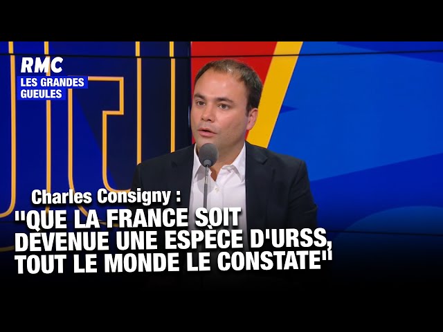 ⁣"C'est l'enfer d'investir en France" : Vraiment ?