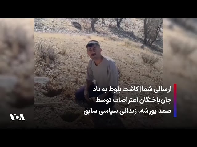 ⁣ارسالی شما| کاشت بلوط به یاد جان‌باختگان اعتراضات توسط صمد پورشه، زندانی سیاسی سابق