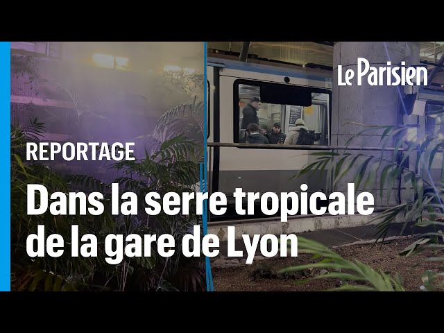 ⁣« Ce sont de vraies plantes ! » : on a visité la serre tropicale de la station Gare-de-Lyon