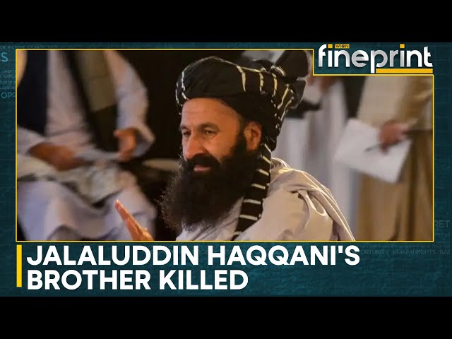 ⁣Taliban Blames ISIS For Killing Khalil Haqqani in Kabul | WION Fineprint