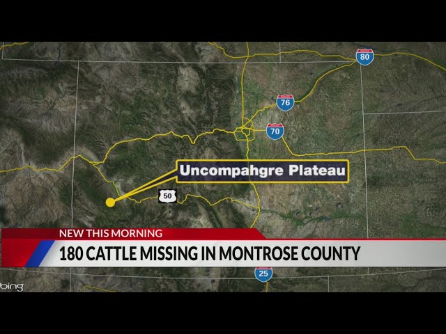 ⁣180 heard of cattle disappear from southwest Colorado