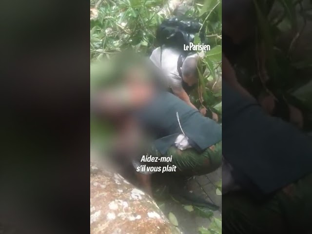 ⁣Une Française tuée par la chute d'un arbre à Bali