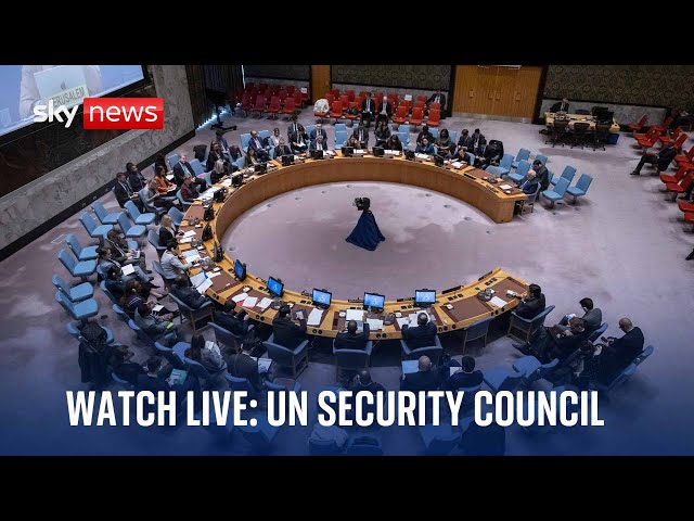 ⁣United Nations Security Council | Wednesday 11 December 2024