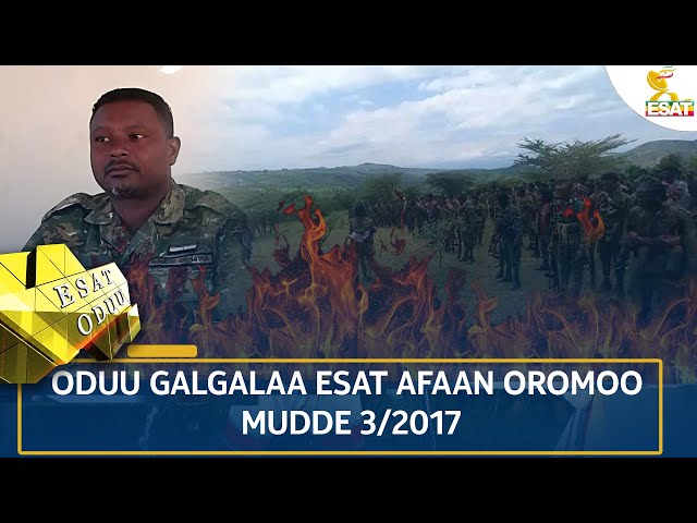 ⁣Ethiopia - ESAT ODUU 11 DECEMBER 2024