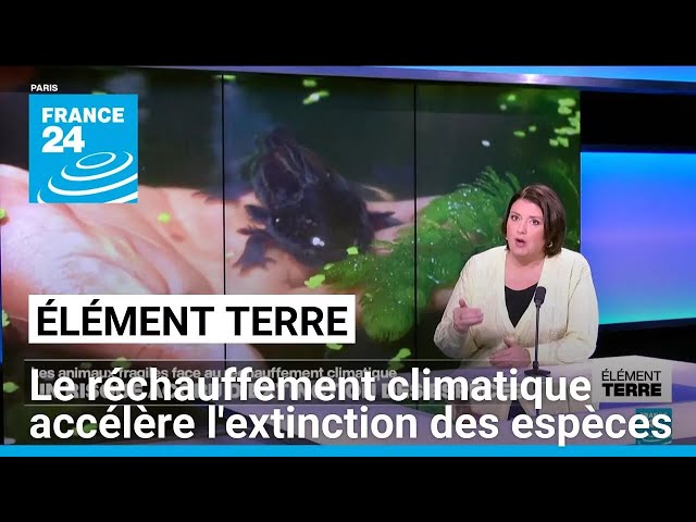 ⁣Un réchauffement climatique au-delà de 1,5°C accélèrerait l'extinction des espèces