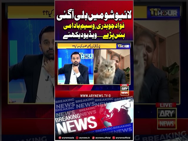 ⁣Waseem Badami Kay Live Show Mein Billi Agai #waseembadami #fawadchaudhry #breakingnews #11thhour