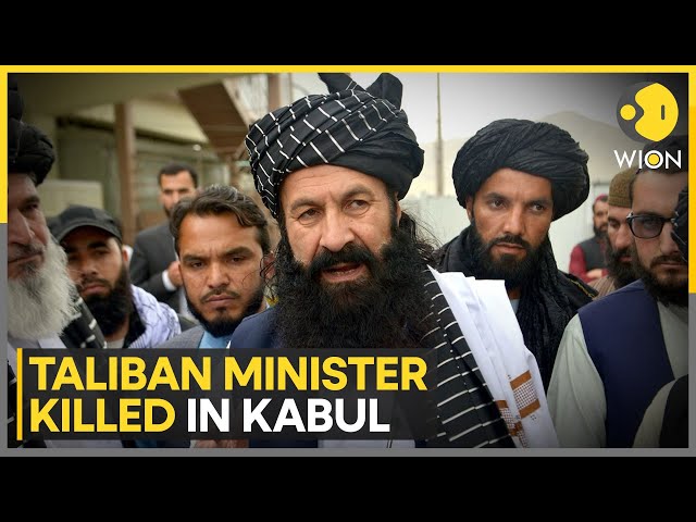 ⁣Taliban Refugee Minister Khalil Haqqani Killed in Kabul | WION Pulse