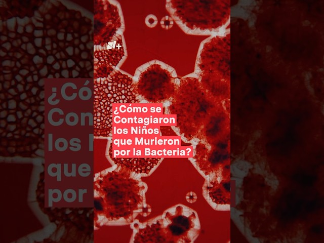 ⁣Klebsiella Oxytoca: ¿Cómo se contagiaron  los niños que murieron por la bacteria? - N+ #shorts