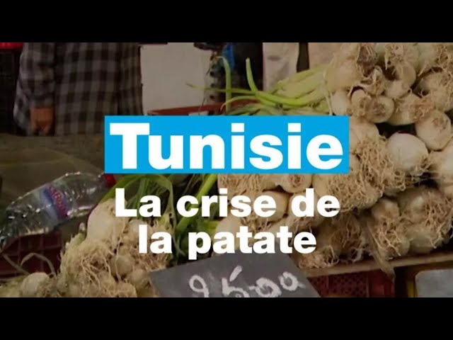 ⁣ La crise de la patate en #Tunisie • FRANCE 24