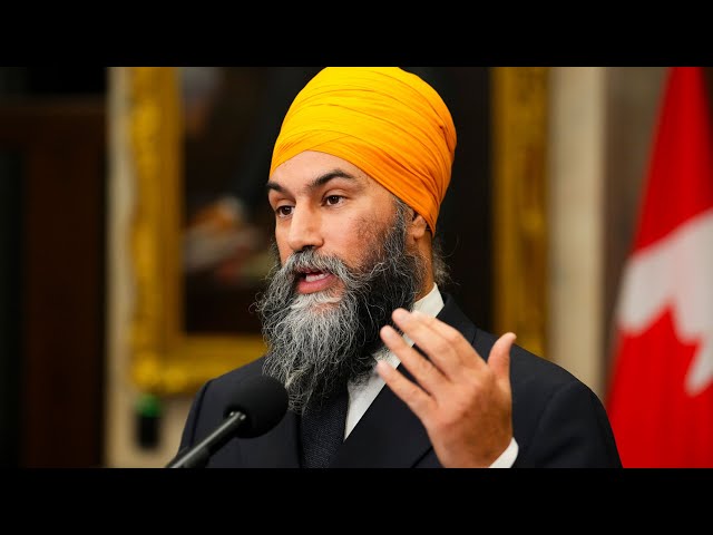 ⁣Jagmeet Singh calls Donald Trump "a bully," calls for Canada to show strength on tariff th