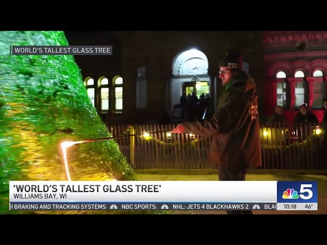 ⁣Illinois artist builds ‘world's tallest glass tree' from recycled bottles