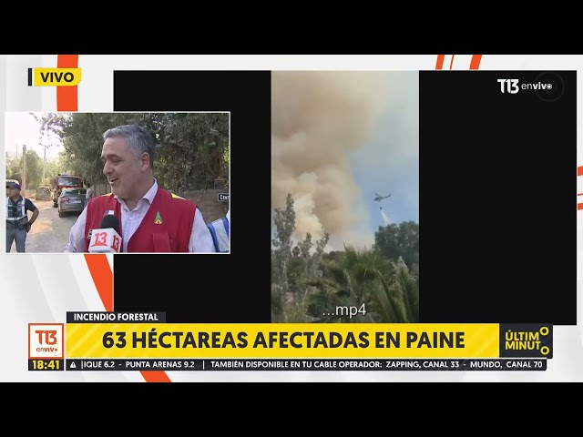 ⁣63 hectáreas y dos viviendas afectadas por incendio forestal en Paine