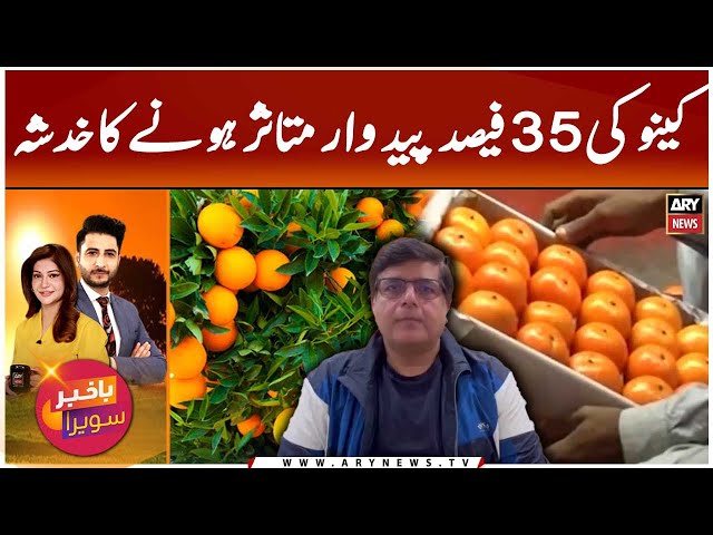 ⁣35% of Orange Crop Faces Crisis | Waheed Haider's analysis