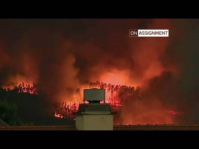 ⁣Inside Portugal's groundbreaking wildfire prevention strategy - On Assignment | ITV News