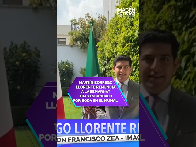 ⁣Martín Borrego Llorente renuncia a la Semarnat tras escándalo por boda en el MUNAL | Shorts | Zea