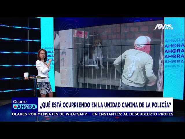 ⁣Perros de la unidad canina de la PNP son hallados en pésimas condiciones