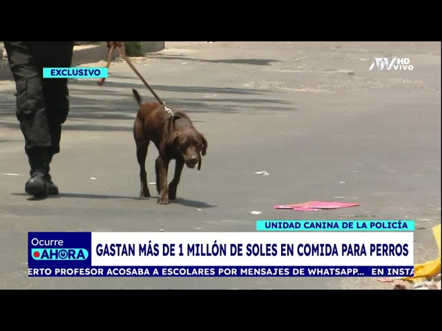 ⁣¡EXCLUSIVO! Unidad canina de la policía gasta más de un millón de soles en comida para perros