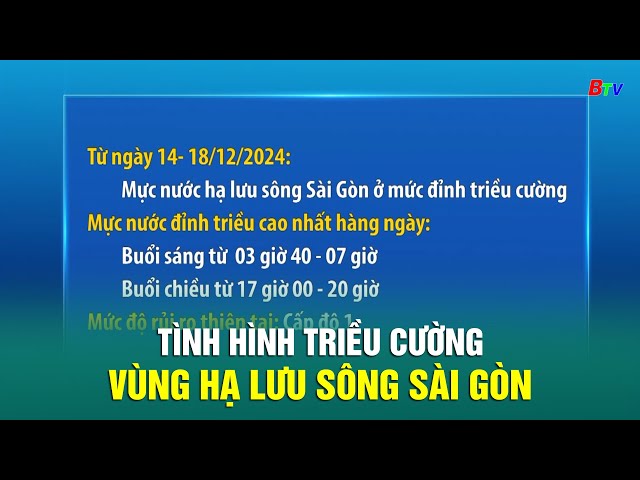 ⁣Tình hình triều cường vùng hạ lưu sông Sài Gòn