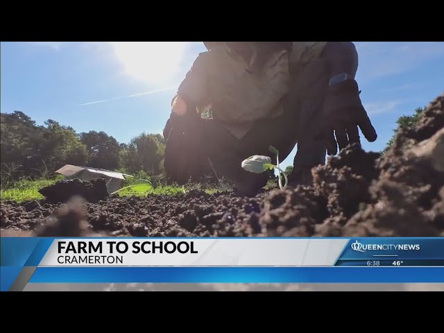 ⁣Gaston County Schools serve produce grown in district’s own farm