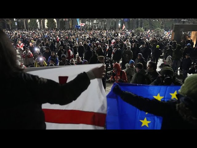 ⁣EU Parliament delegation visits Georgia and marches with pro-EU protesters