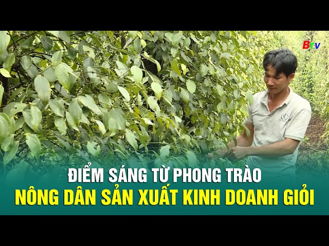 ⁣Điểm sáng từ phong trào nông dân sản xuất kinh doanh giỏi