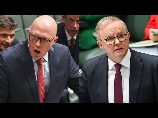 ⁣Peter Dutton’s nuclear plan ‘much more credible’ than Albanese’s