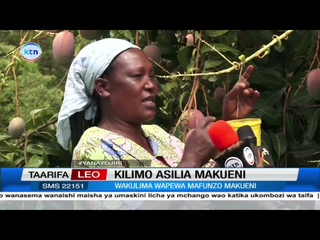 ⁣Kilimo asilia Makueni:  Wakulima wapewa mafunzo