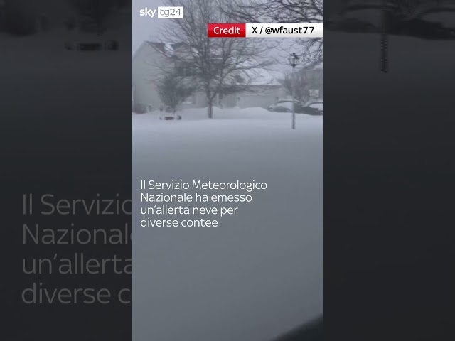 ⁣Usa, forti nevicate colpiscono la zona di Lake View