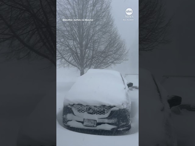 ⁣ABC News - Man opens garage door to reveal heavy snowfall in New York - ABC News