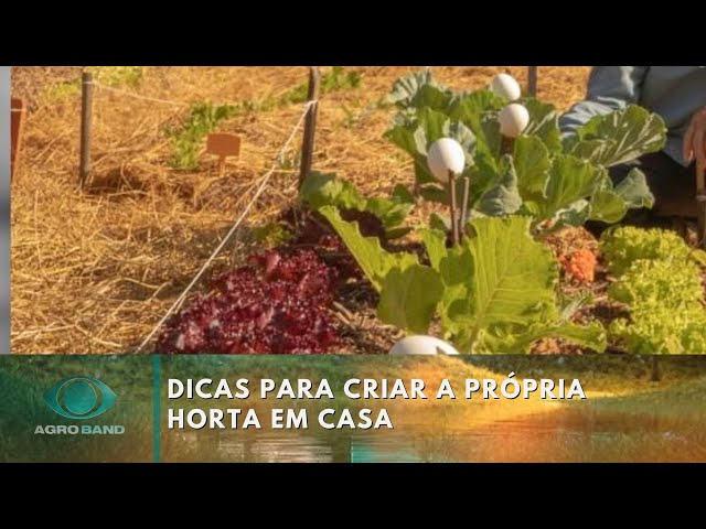 ⁣Horta em casa: dicas para facilitar o cultivo | Agro Band