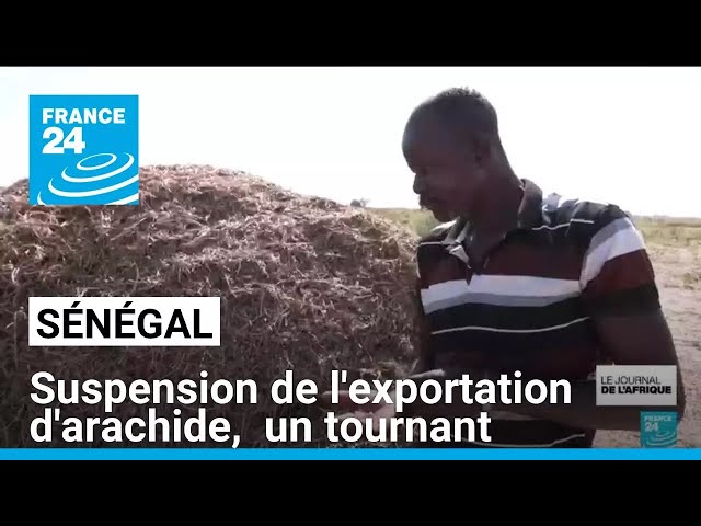 ⁣Sénégal : suspension de l'exportation d'arachide, un tournant pour l'agriculture • FR