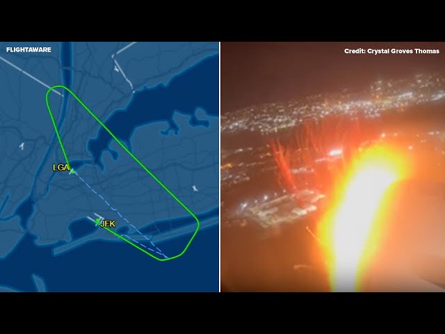 ⁣Bird strike forces plane to make emergency landing in NYC