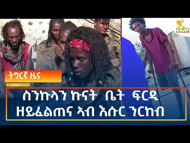 ⁣Ethiopia - Esat Tigrigna News 13 December 2024