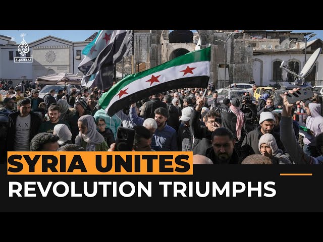 ⁣Syrians celebrate regime's fall across the nation