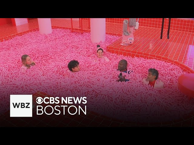 ⁣Museum of Ice Cream to bring iconic sprinkle pool to Boston's Seaport