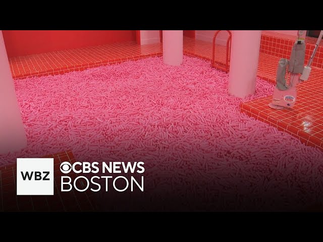 ⁣Museum of Ice Cream to open in Boston's Seaport on Saturday