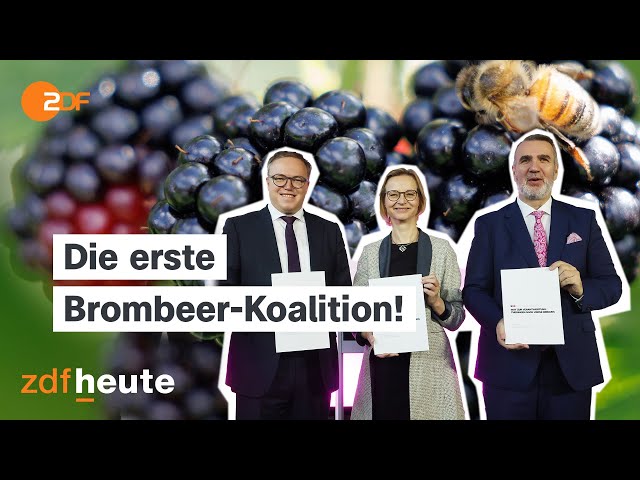 ⁣Brombeer-Koalition in Thüringen: Weht ein "neuer Geist des Miteinanders"?